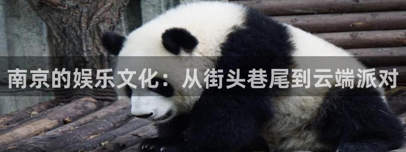 辉达官网首页登录入口